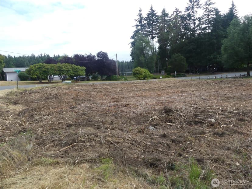 Property photo for 10107 Narrows Drive, Anderson Island photo 4