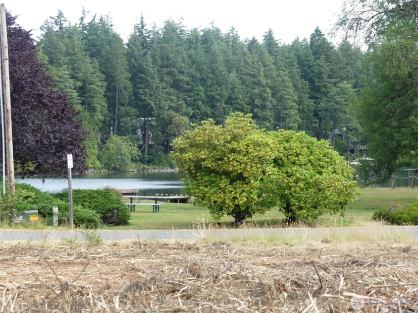 Property photo for 10107 Narrows Drive, Anderson Island photo 5