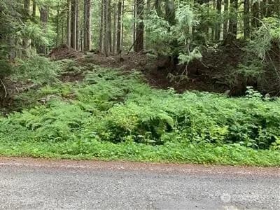 Property photo for 87442 Ne Old Cascade Highway, Skykomish photo 2