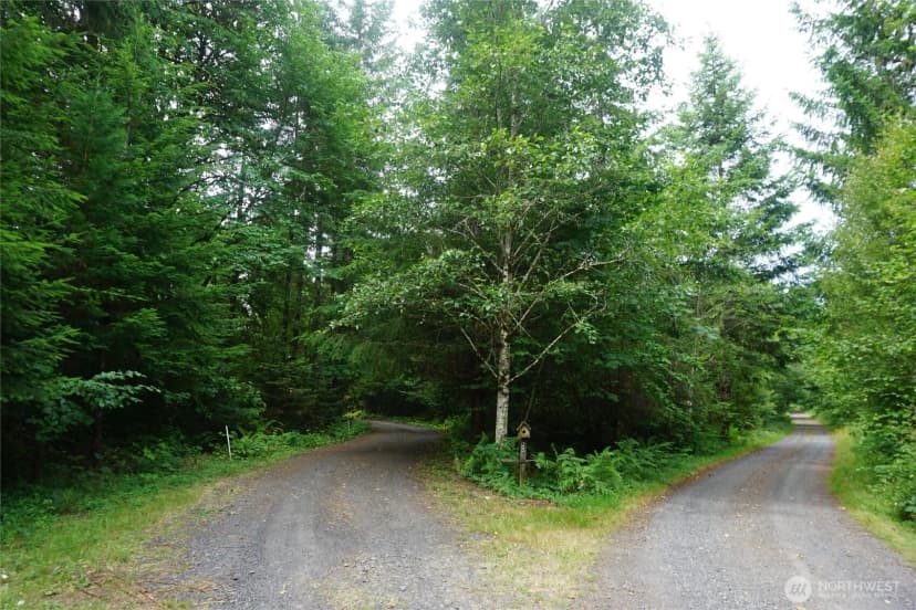 Property photo for 259 Finn Hill Road, Winlock photo 26