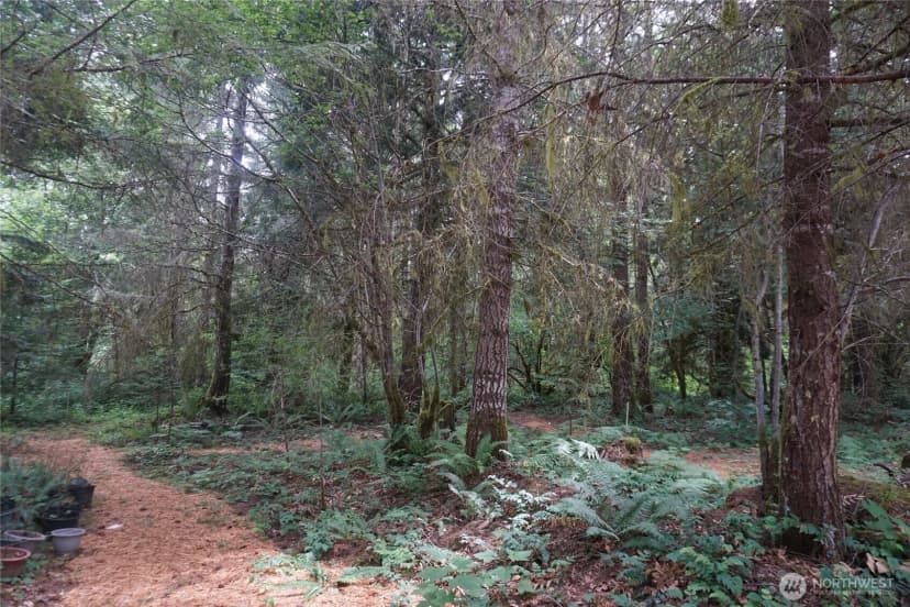 Property photo for 259 Finn Hill Road, Winlock photo 32