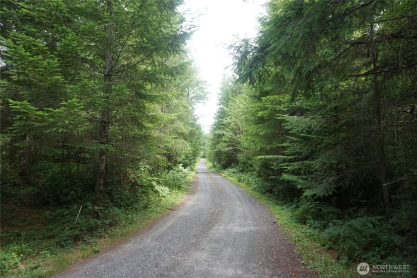 Property photo for 259 Finn Hill Road, Winlock photo 27