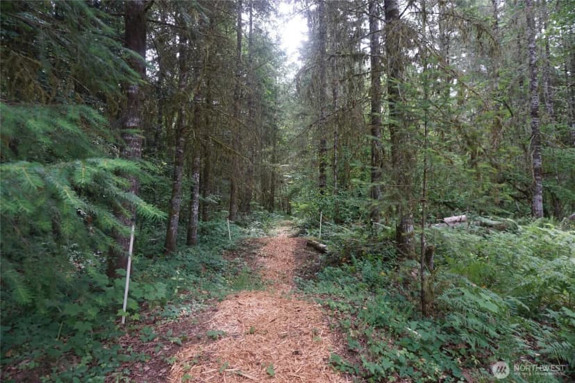 Property photo for 259 Finn Hill Road, Winlock photo 29