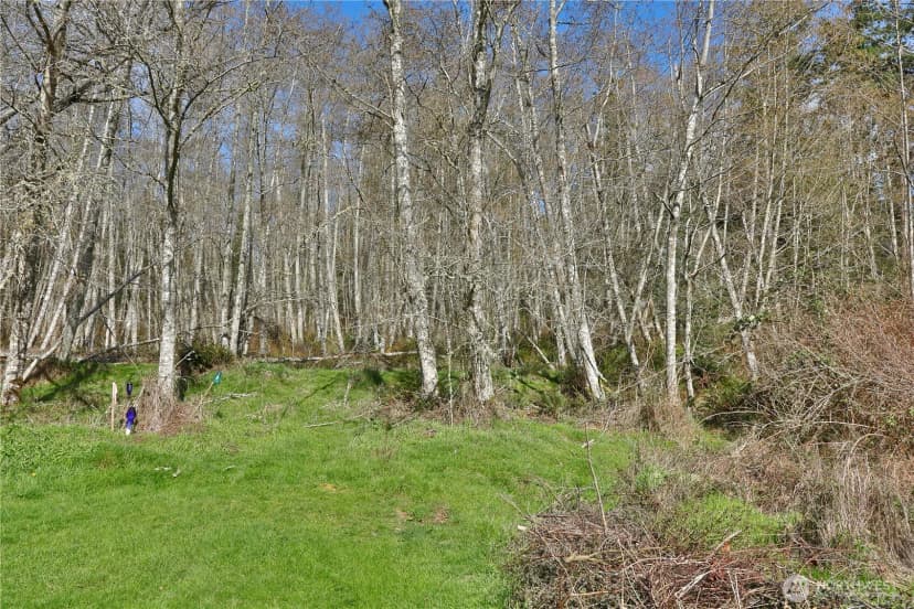 Property photo for 401 Gramayre Road, Coupeville photo 6