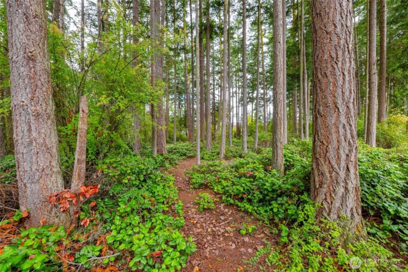 Property photo for 1127 Sw Fairhaven Drive, Oak Harbor photo 40