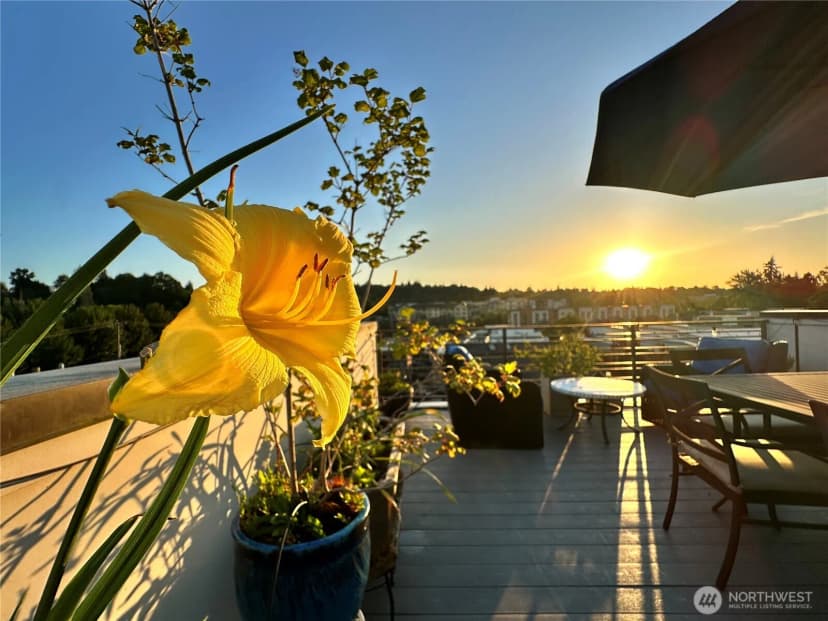 Property photo for 3638 Courtland Place S #b, Seattle photo 24