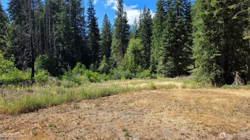 Property photo for 8925 Merry Canyon Road, Leavenworth photo 37