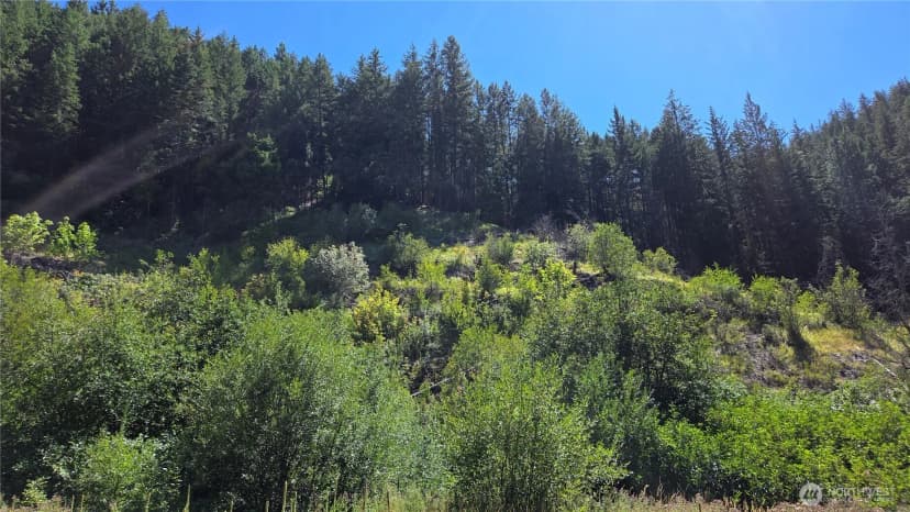 Property photo for 8925 Merry Canyon Road, Leavenworth photo 34