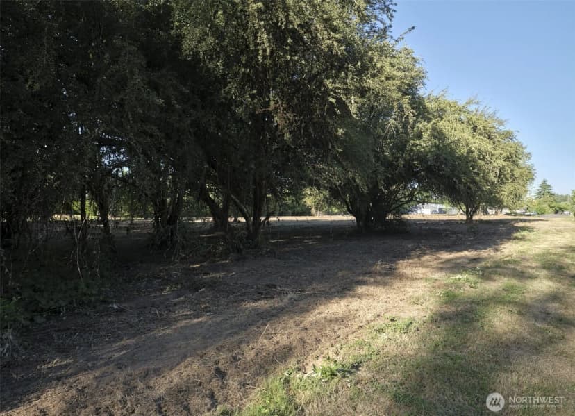 Property photo for 0 Sw 27th Street, Battle Ground photo 17