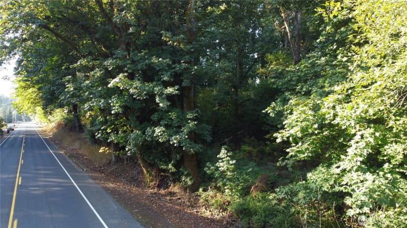 Property photo for 0 Old Pacific Highway, Castle Rock photo 13