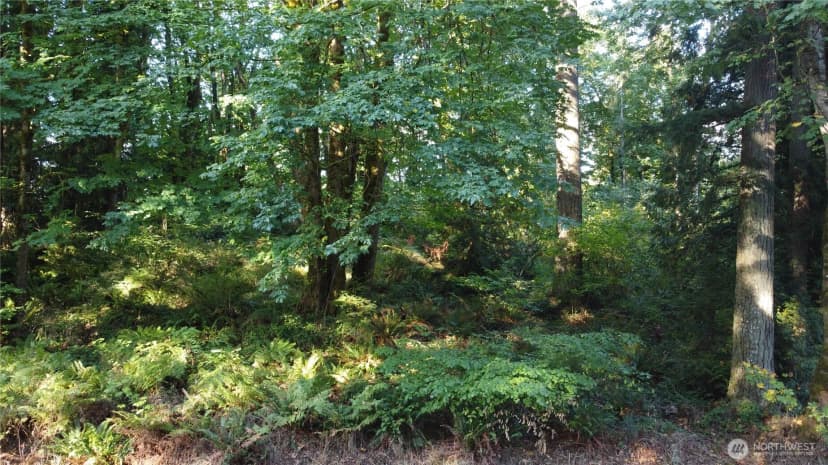 Property photo for 0 Old Pacific Highway, Castle Rock photo 11