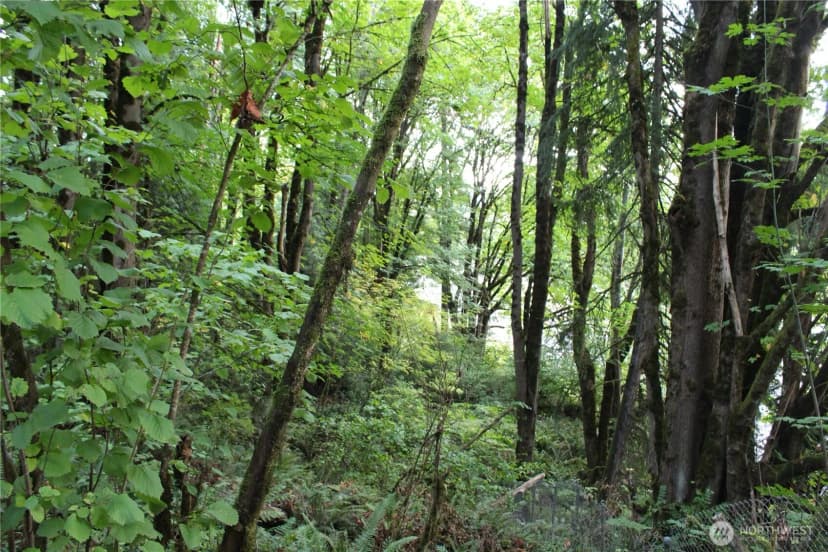 Property photo for 0 Old Pacific Highway, Castle Rock photo 8