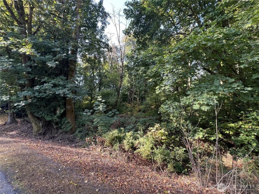 Property photo for 0 Old Pacific Highway, Castle Rock photo 4