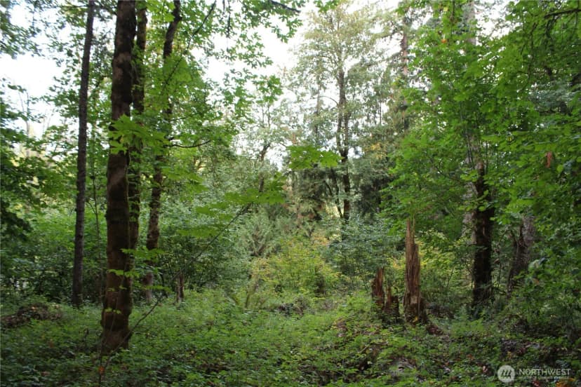 Property photo for 0 Old Pacific Highway, Castle Rock photo 10