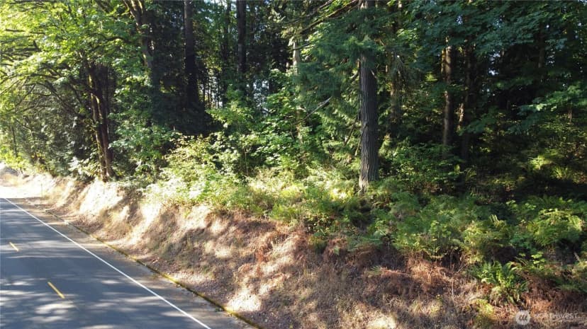 Property photo for 0 Old Pacific Highway, Castle Rock photo 12