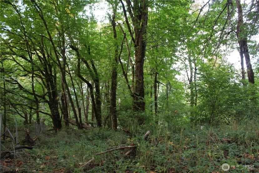 Property photo for 0 Old Pacific Highway, Castle Rock photo 9