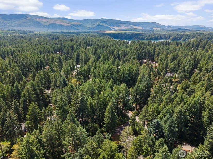 Property photo for 18102 Big Fir Court Se, Yelm photo 33