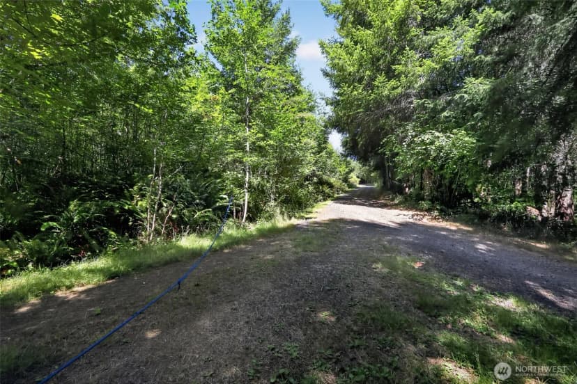 Property photo for 0 Xxx West Shore Rd, Castle Rock photo 24