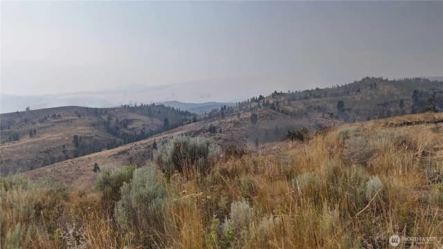Property photo for 0 Nna Purtteman Gulch Rd., Chelan photo 4