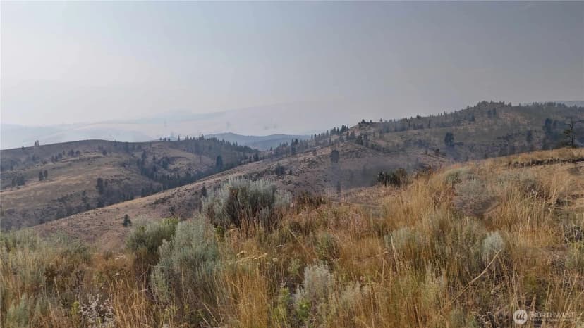 Property photo for 0 Nna Purtteman Gulch Rd., Chelan photo 4