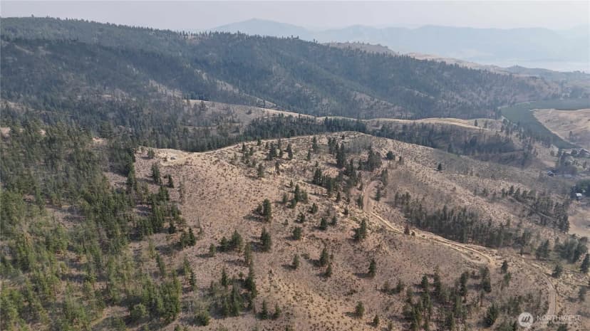 Property photo for 0 Nna Purtteman Gulch Rd., Chelan photo 10