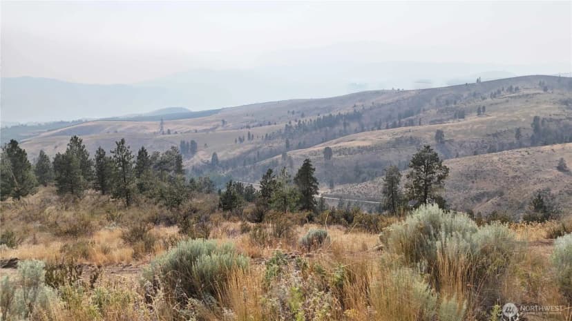 Property photo for 0 Nna Purtteman Gulch Rd., Chelan photo 7