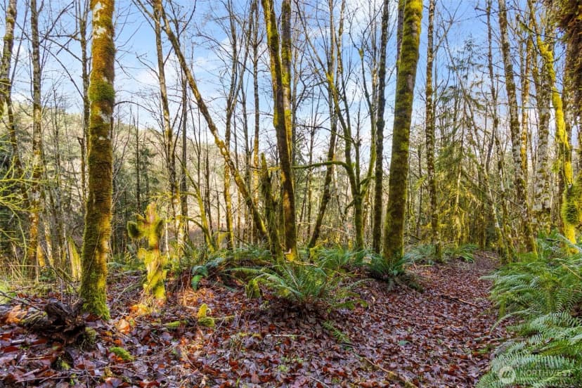 Property photo for 7848 Wapiti Lane Se, Tenino photo 17