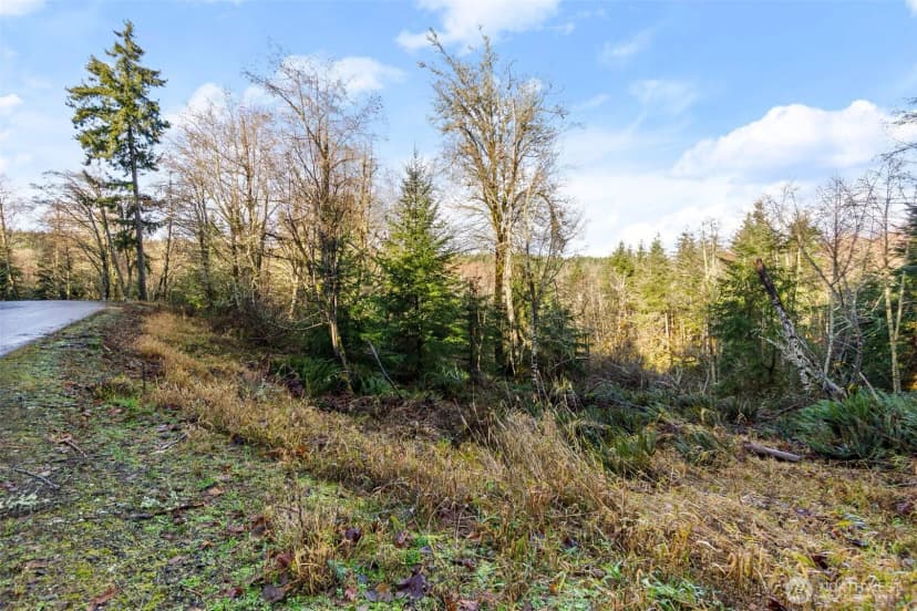 Property photo for 7848 Wapiti Lane Se, Tenino photo 15