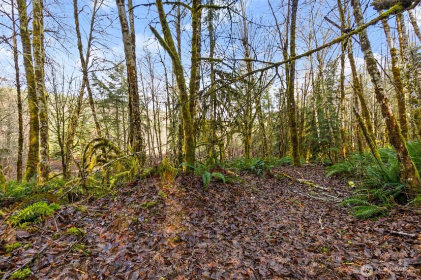Property photo for 7848 Wapiti Lane Se, Tenino photo 18