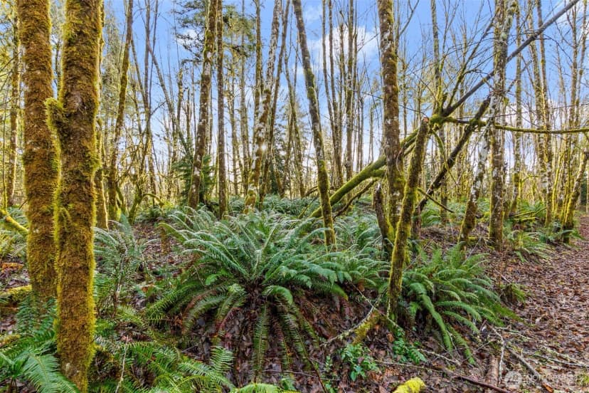 Property photo for 7848 Wapiti Lane Se, Tenino photo 19