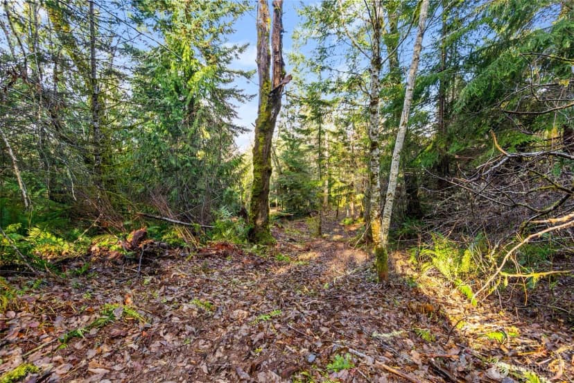 Property photo for 7840 Wapiti Lane Se, Tenino photo 13
