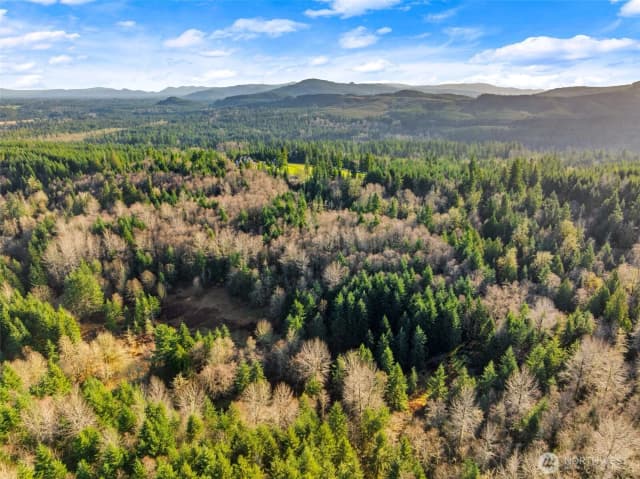 Property photo for 7840 Wapiti Lane Se, Tenino photo 4