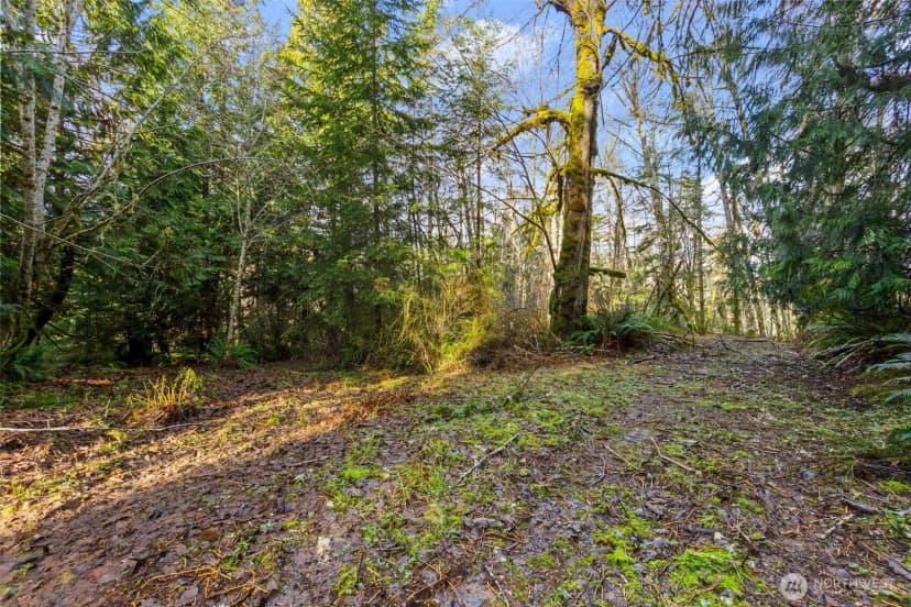 Property photo for 7840 Wapiti Lane Se, Tenino photo 15