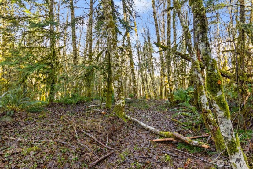 Property photo for 7840 Wapiti Lane Se, Tenino photo 17