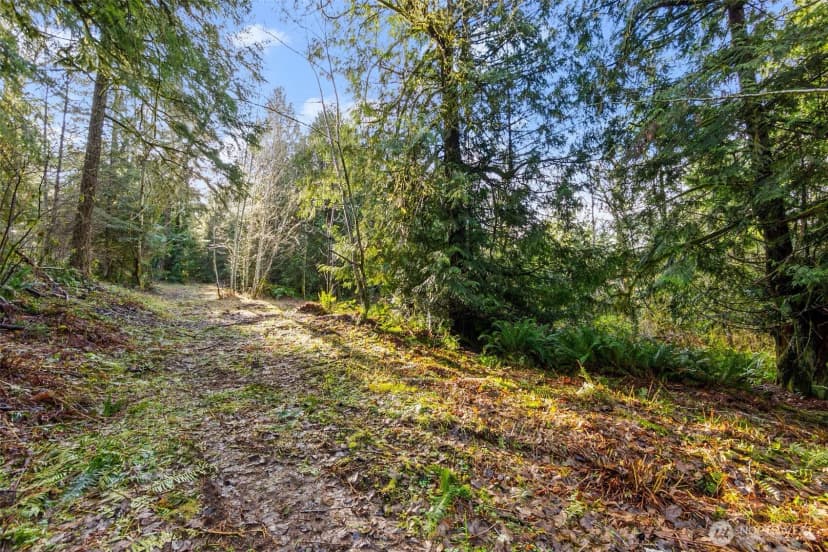 Property photo for 7840 Wapiti Lane Se, Tenino photo 16