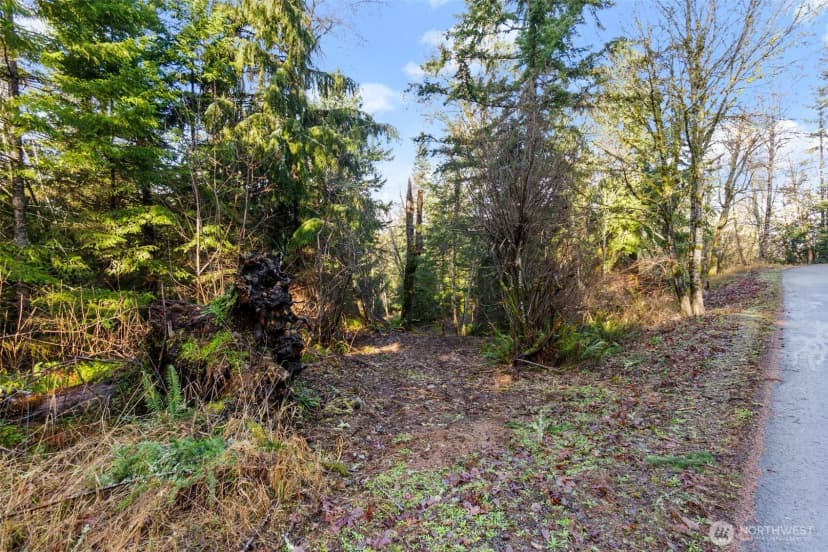 Property photo for 7840 Wapiti Lane Se, Tenino photo 11