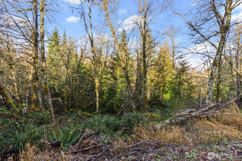 Property photo for 7840 Wapiti Lane Se, Tenino photo 12