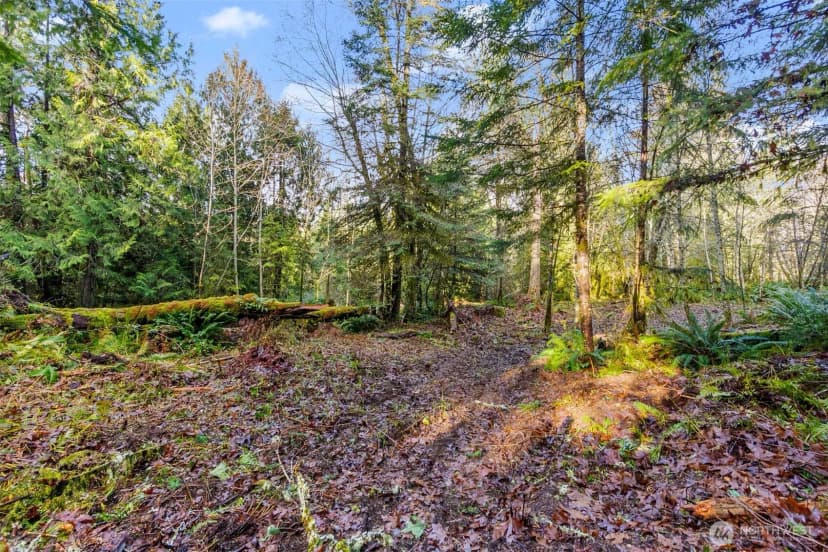 Property photo for 7840 Wapiti Lane Se, Tenino photo 14