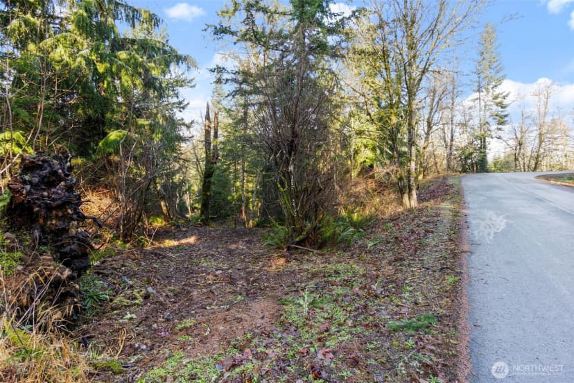 Property photo for 7840 Wapiti Lane Se, Tenino photo 10