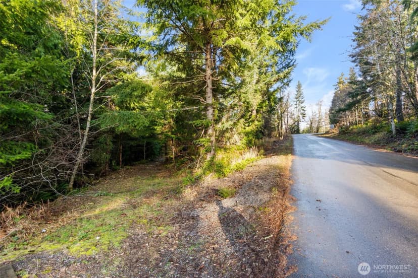 Property photo for 7002 Nanitch Lane Se, Tenino photo 9