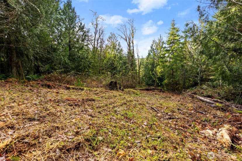 Property photo for 7002 Nanitch Lane Se, Tenino photo 11