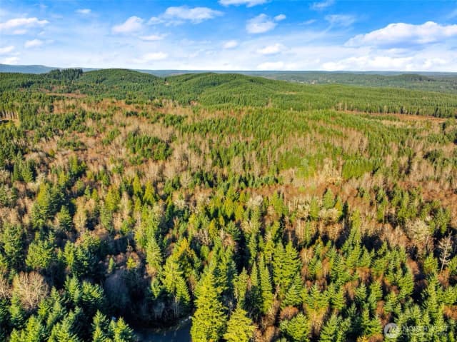 Property photo for 7002 Nanitch Lane Se, Tenino photo 4