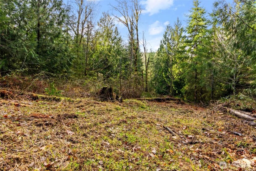 Property photo for 7002 Nanitch Lane Se, Tenino photo 10