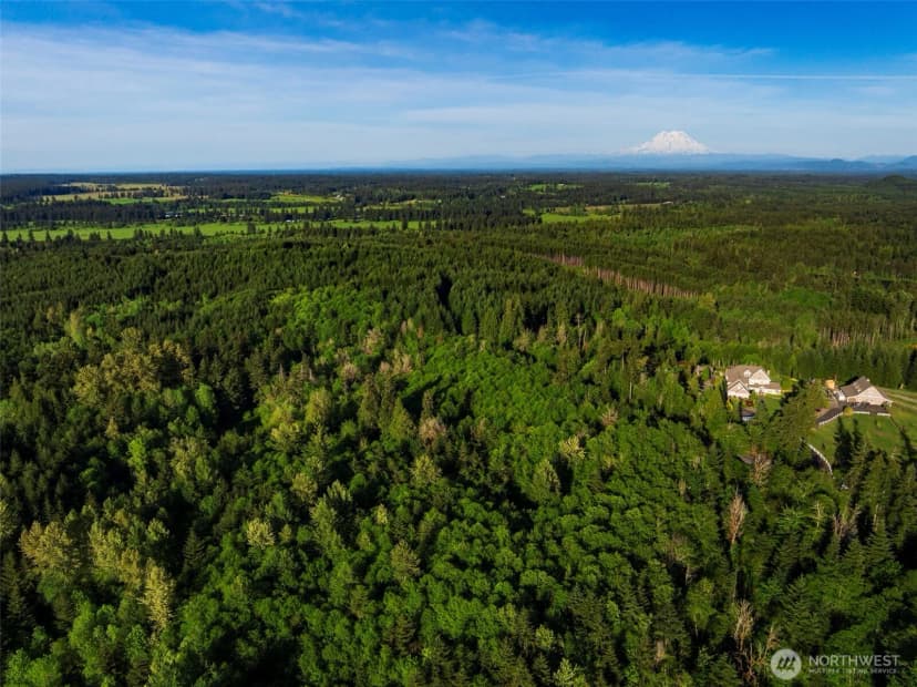 Property photo for 7024 Nanitch Lane Se, Tenino photo 9