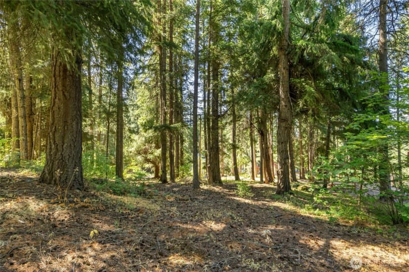 Property photo for 171 Dundee Road, Ronald photo 4