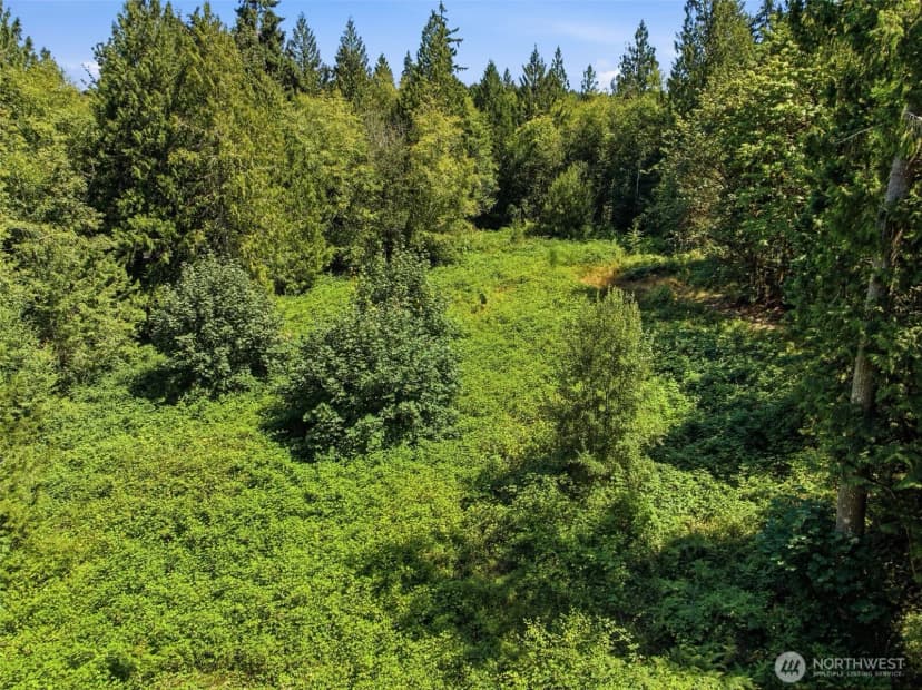Property photo for 3009 Whiteman Road Sw, Lakebay photo 17