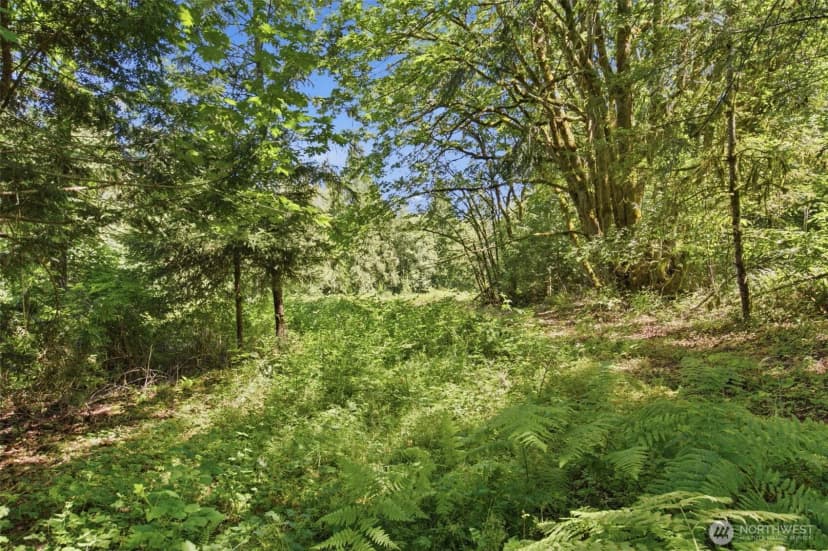 Property photo for 3009 Whiteman Road Sw, Lakebay photo 8