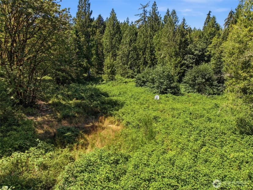 Property photo for 3009 Whiteman Road Sw, Lakebay photo 16