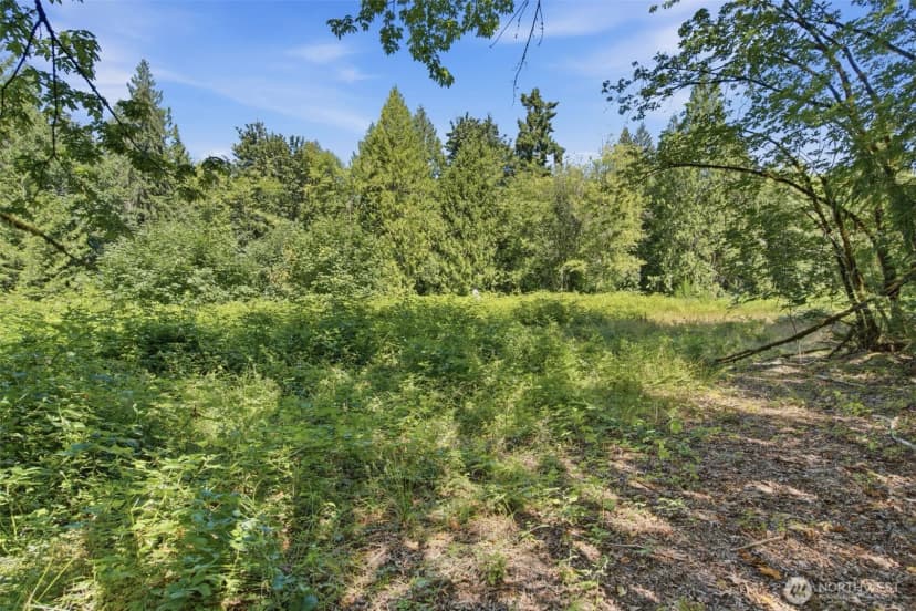 Property photo for 3009 Whiteman Road Sw, Lakebay photo 10