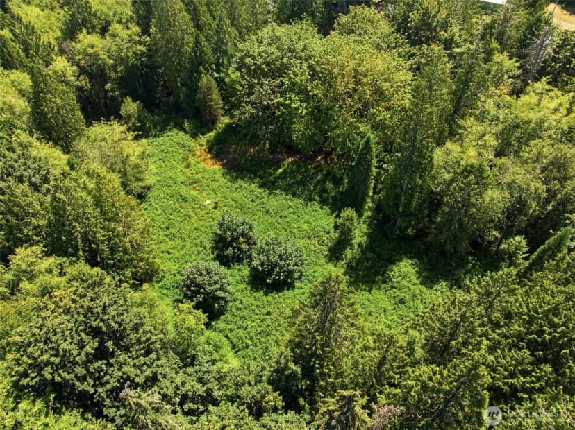 Property photo for 3009 Whiteman Road Sw, Lakebay photo 19